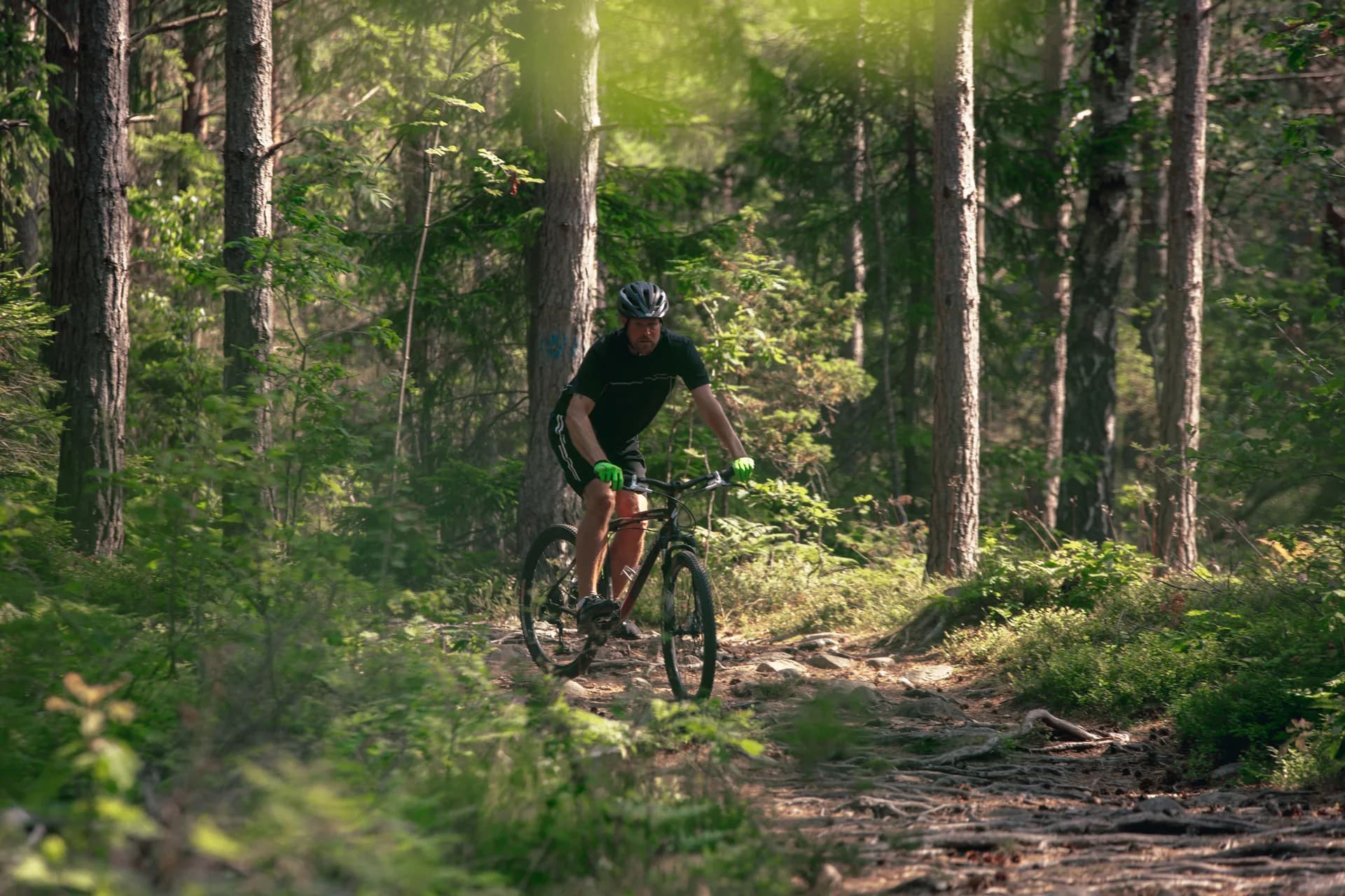 E-MTB and E-bike Package