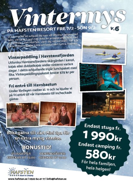 vintermys v6 2025
