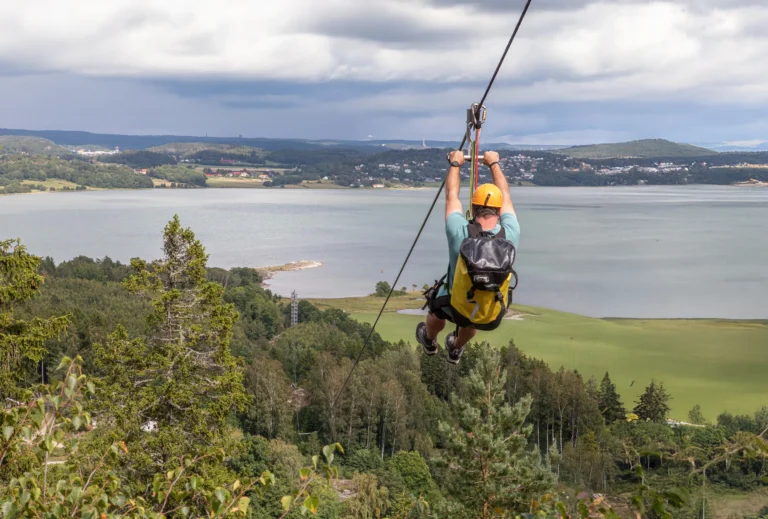 FlyingFox